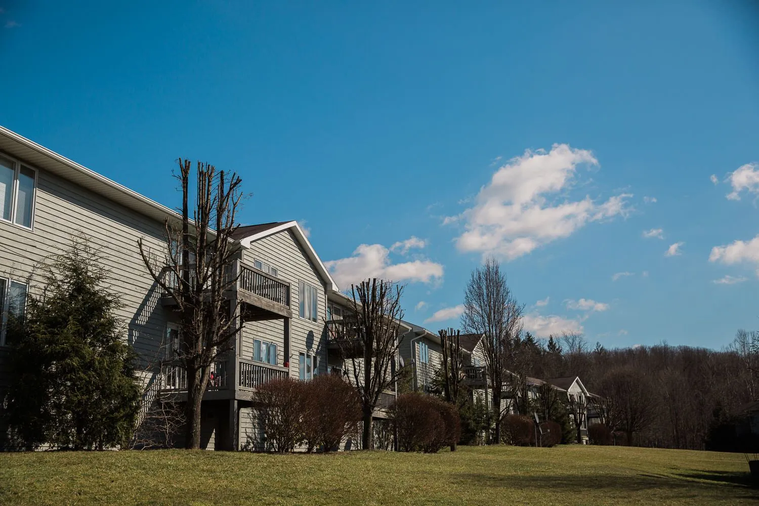 Chateau South - Village at White Hall